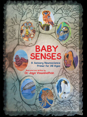 cover image of Baby Senses